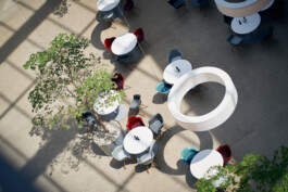 constantin ranke fotografie