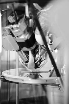  constantin ranke fotografie