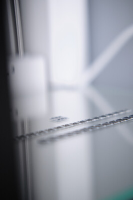  constantin ranke fotografie